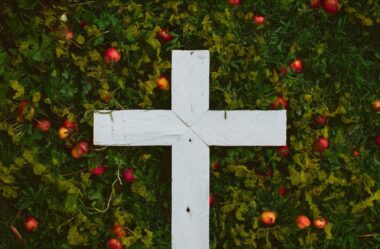 Permanecer em Cristo é a chave para uma vida frutífera