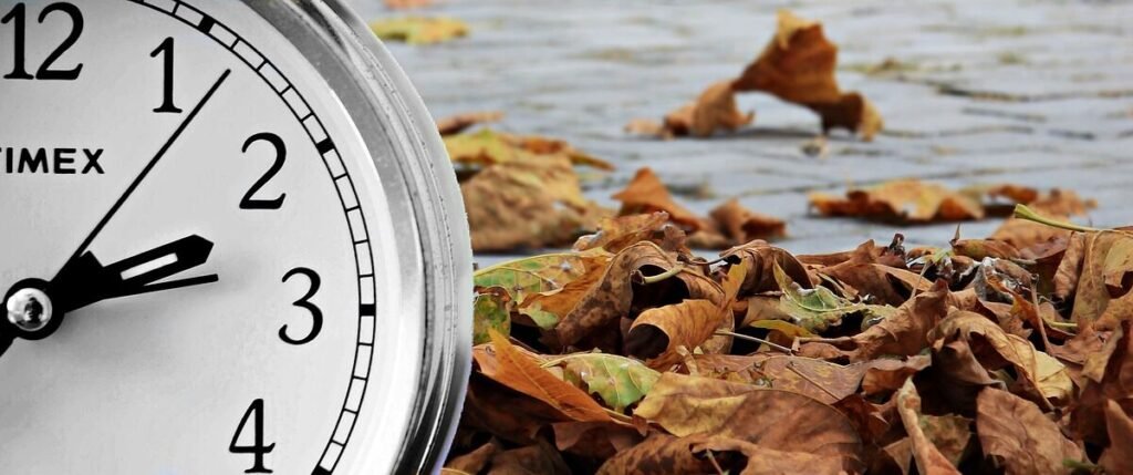 Agiota na Justiça: Ele Pode Cobrar a Dívida?