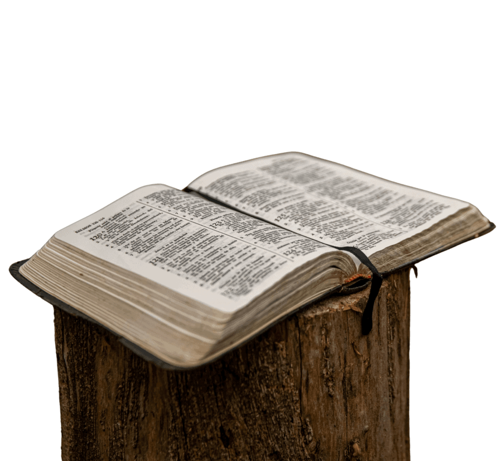 Home 19 biblia