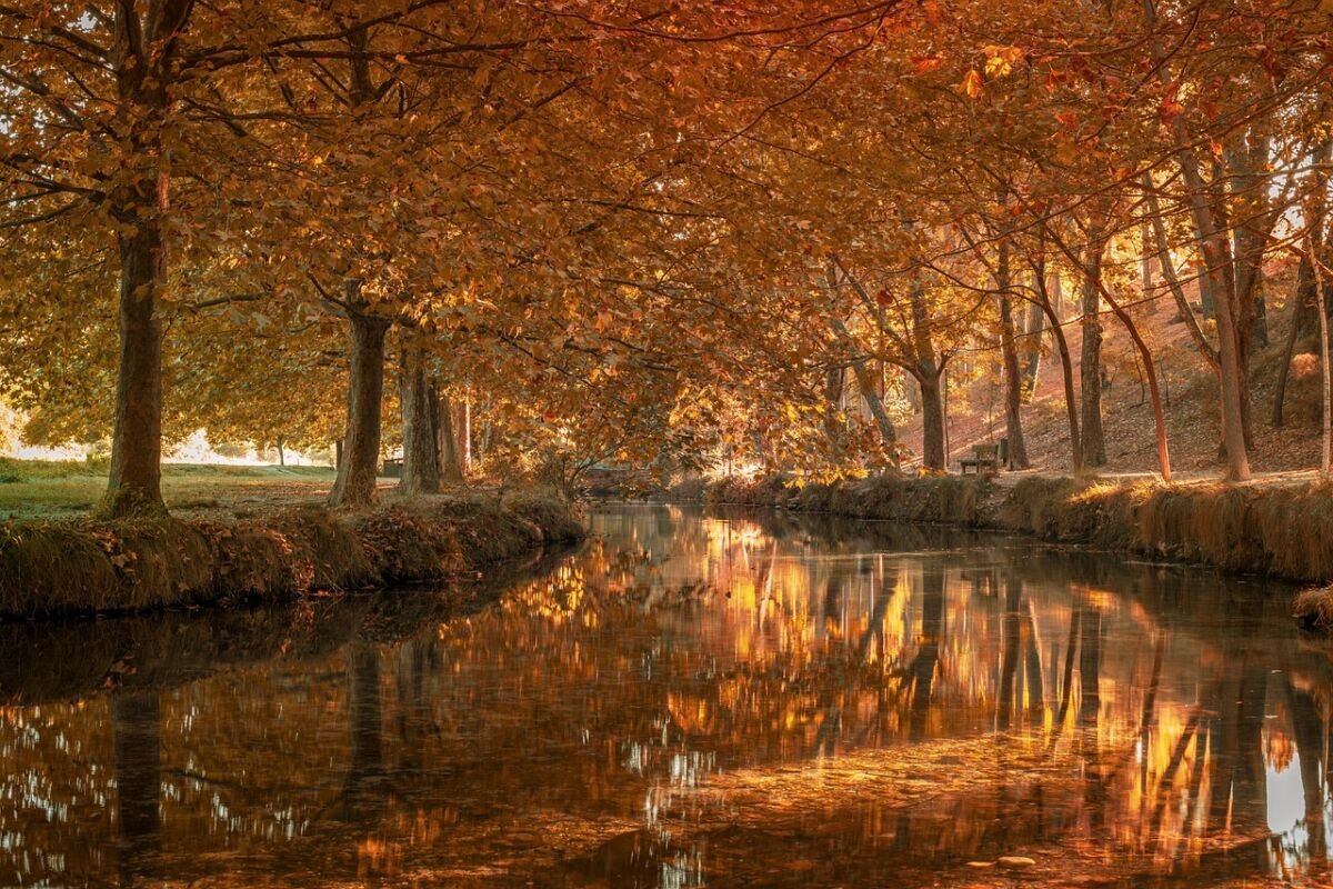 Dívida Caducada: Pagar ou Esperar 5 Anos? 1 Dívida Caducada: Pagar ou Esperar 5 Anos? - Desvantagens de Pagar a Dívida Caducada