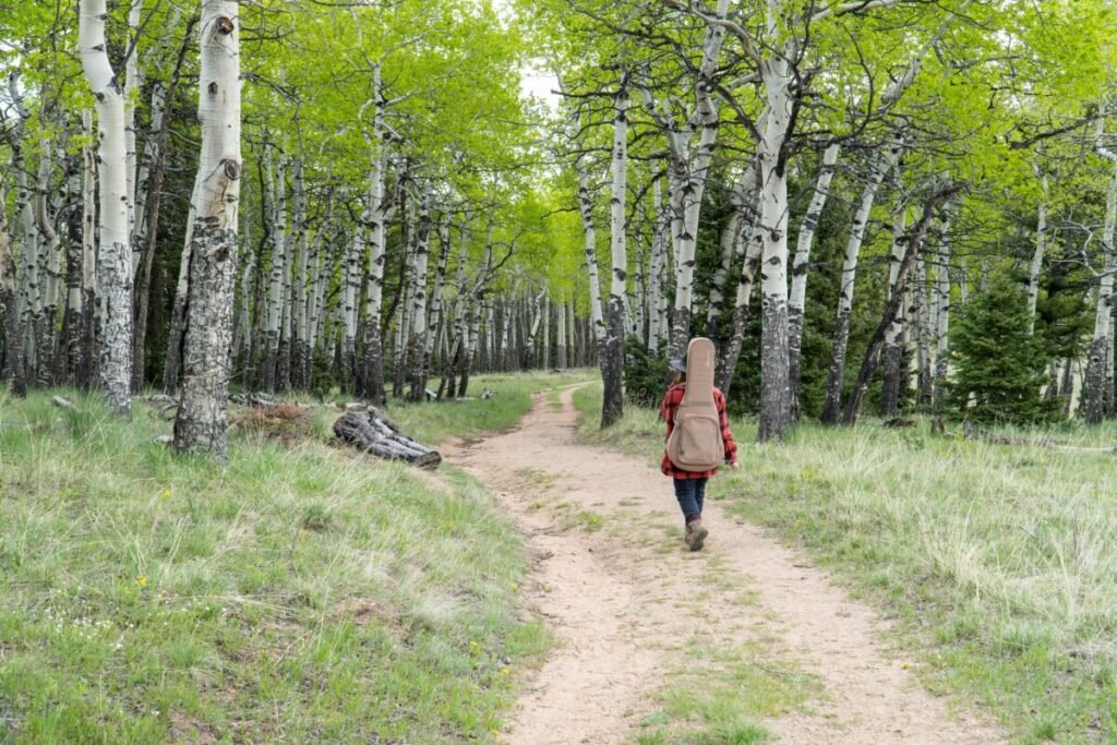 Novação de Dívida: Como Trocar a Dívida Velha