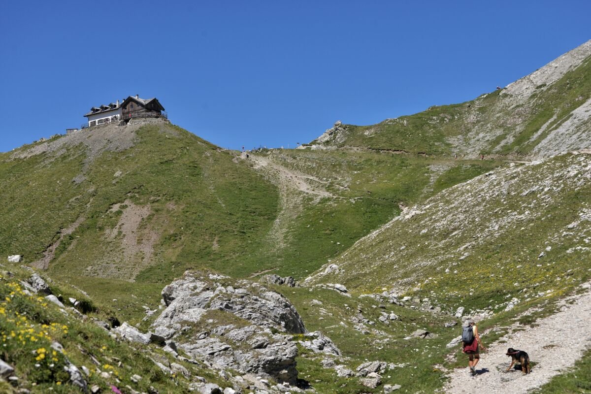 Novação de Dívida: Como Trocar a Dívida Velha 1 Novação de Dívida: Como Trocar a Dívida Velha - Como Realizar a Novação de Dívida